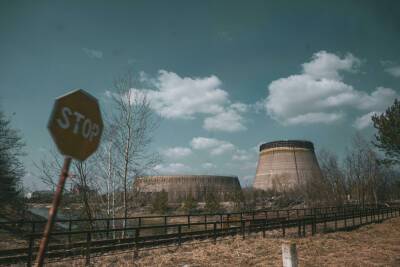 Подтверждено: российские войска рыли окопы и строили укрепления в радиоактивном лесу Чернобыля