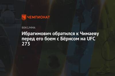 Ибрагимович обратился к Чимаеву перед его боем с Бёрнсом на UFC 273