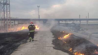 "Взялись за свое любимое дело": из-за активных обстрелов оккупантов на Луганщине не могут потушить пожары