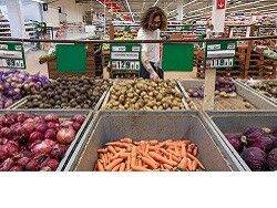 Бизнес по-русски: Картошка у аграриев 20 руб/кг, на прилавке — 90 руб - «Политика»