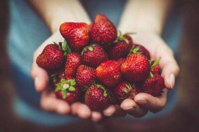 Медики назвали ягоду, которая сделает кожу сияющей и сохранит здоровье глаз