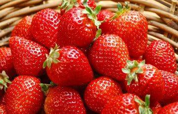 Медики назвали ягоду, которая поможет сохранить здоровье глаз