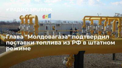 Глава "Молдовагаза" Чебан: Молдавия продолжает получать российский газ в штатном режиме
