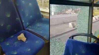 Пятеро арабов забросали камнями автобусы в Иерусалиме - и пойдут под суд