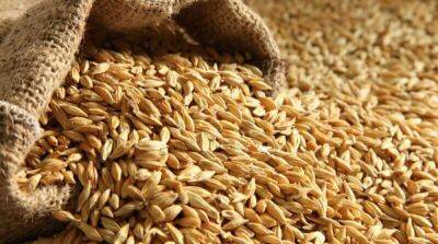 Россия похитила в Украине несколько сотен тысяч тонн зерна – Минагро