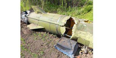 В результате ракетного удара россиян по Днепропетровской области сгорело 2 тонны сена и убита корова