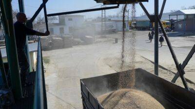 ООН сообщила о блокировке миллионов тонн зерна в портах Украины