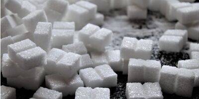 Украина передумала запрещать экспорт сахара и проса. Введут лицензирование