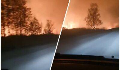 Лесной пожар на Велижанском тракте тушат до сих пор