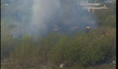 В Тюмени загорелась трава на улице Народная