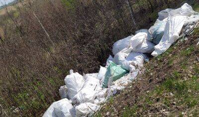 Тюменцы обнаружили горы мусора в районе озера Оброчное