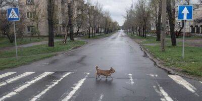 Российские оккупанты перебили газопровод в Северодонецке, город остался без газа