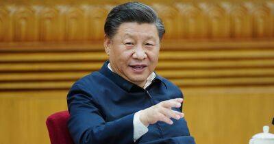 Китай поддерживает территориальную целостность Украины, — Си Цзиньпин