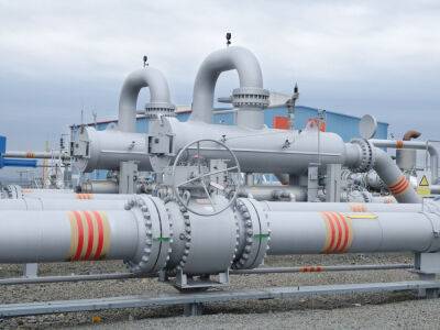 Германия готовит план на случай внезапной остановки поставок российского газа – Reuters