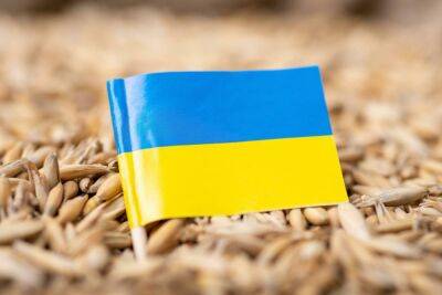 Разведка минобороны Украины: «Украденное в Украине зерно свозят в Сирию»