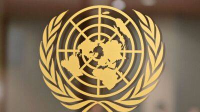Совбез ООН рассмотрит гуманитарную ситуацию в Украине
