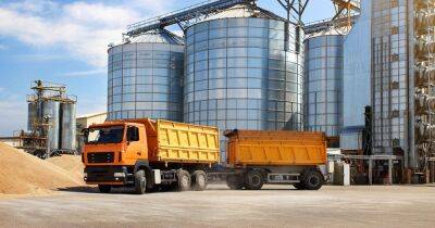ЕС разрабатывает план сухопутного экспорта продовольствия из Украины, — Bloomberg