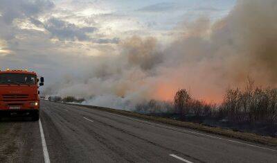 В Тюменской области действуют 11 лесных пожаров