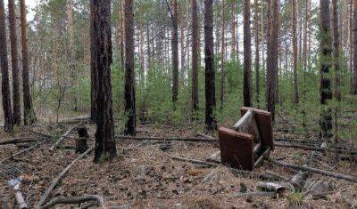 В лесу Тюменского районе обнаружены несанкционированные свалки