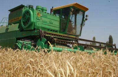 В Узбекистане с 1 июня государство начнет закупать зерно у фермеров по рыночным ценам