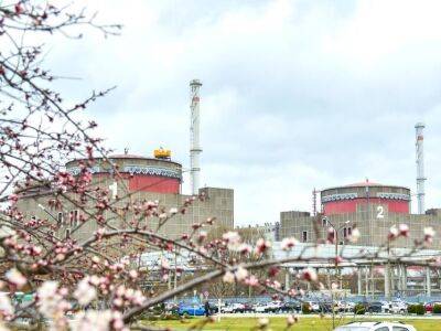 Из Запорожской АЭС уволены трое сотрудников, которые участвовали в организованной оккупантами акции "бессмертный полк" – "Энергоатом"