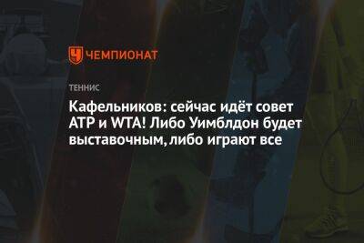 Кафельников: сейчас идёт совет ATP и WTA! Либо Уимблдон будет выставочным, либо играют все