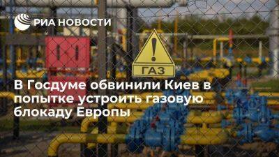 Депутат Шеремет: Киев прекратил транзит газа из России для газовой блокады Европы