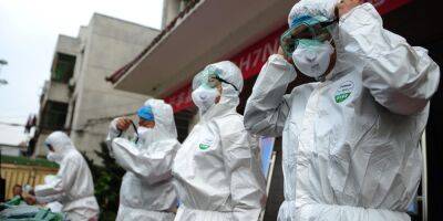 Новая пандемия? В Европе пытаются побороть птичий грипп вакцинацией, но предупреждают о риске для людей