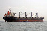 Египет и Ливан отказались принимать в портах судно РФ с украденной украинской пшеницей