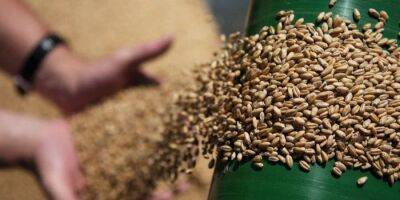 Еврокомиссия поможет Украине экспортировать сельскохозяйственную продукцию