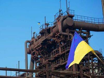 Голтвенко: Металлургические заводы будут отстроены за деньги врага, как только мы освободим Мариуполь