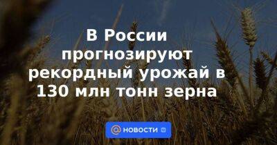 В России прогнозируют рекордный урожай в 130 млн тонн зерна