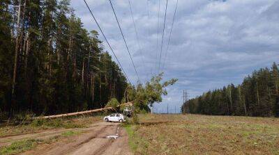 «Минскэнерго» оперативно восстанавливает электроснабжение после непогоды в Минской области