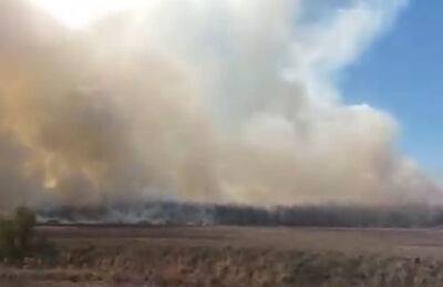 Оккупанты запрещают гасить: массовые пожары на Херсонщине угрожают селам