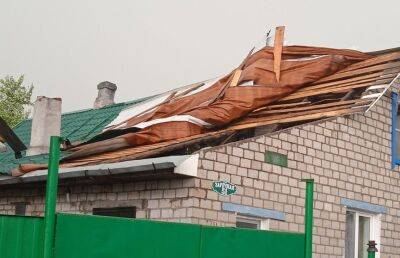 Поваленные деревья, поврежденные авто и крыши: появились фото последствий непогоды в Могилевской области