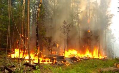 Лесные пожары на Херсонщине: оккупанты запрещают местным тушить, а огонь подошел к поселкам