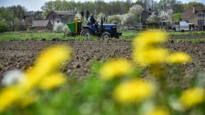 Европейский союз заявил, что поможет Украине экспортировать зерно