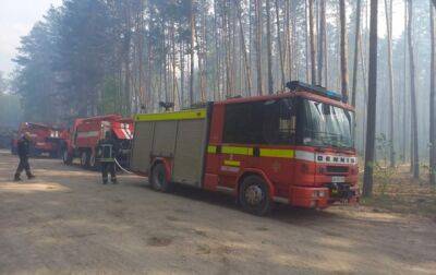 В Житомирской области загорелся лес