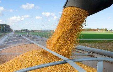 Европа не будет возить украинское зерно через Беларусь