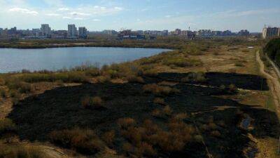 «Взятие Берлина» закончилось пожаром на озере Круглое в Тюмени
