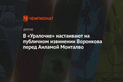 В «Уралочке» настаивают на публичном извинении Воронкова перед Айламой Монтальво