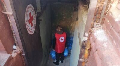 Червоний Хрест роздав мешканцям Сєвєродонецька понад 60 тонн продуктів харчування