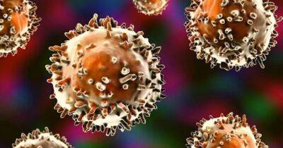 Ученые доказали существования неуловимых иммунных клеток в организме человека