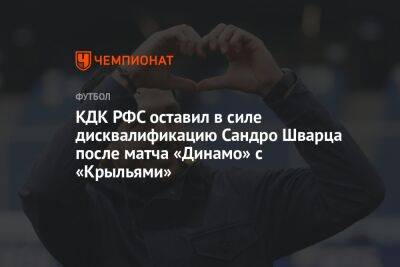 КДК РФС оставил в силе дисквалификацию Сандро Шварца после матча «Динамо» с «Крыльями»