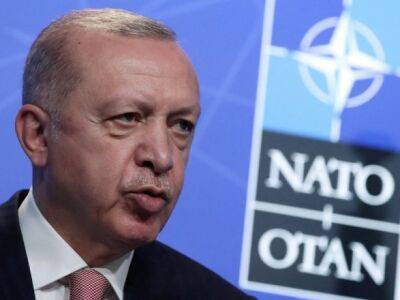 Эрдоган заявил, что Турция против вступления Финляндии и Швеции в НАТО