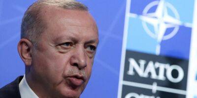 Турция против вступления Финляндии и Швеции в НАТО — Эрдоган