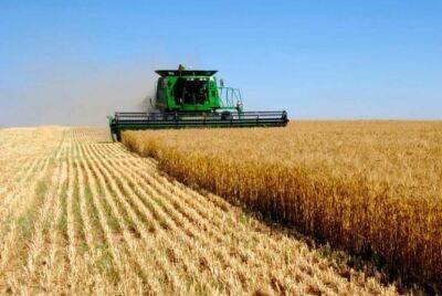 Стоимость сельскохозяйственных участков в Украине за 3 года может вырасти на 70% — эксперт