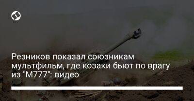 Резников показал союзникам мультфильм, где козаки бьют по врагу из "М777": видео