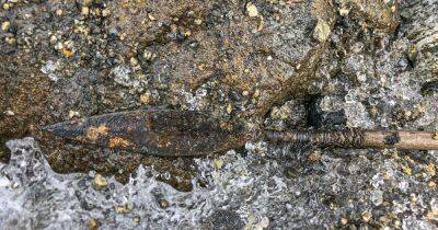 В Норвегии нашли хорошо сохранившуюся стрелу с перьями возрастом 1500 лет (фото)