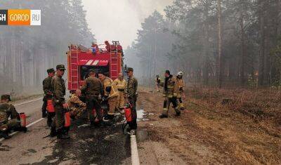 Названа предварительная причина лесного пожара в районе села Криводаново